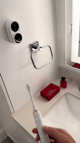 Smart Toothbrush Sterilizer